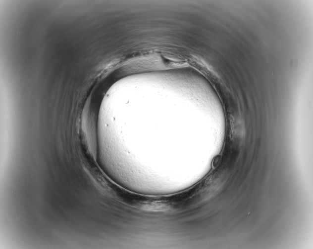 X0000084550451200703161649