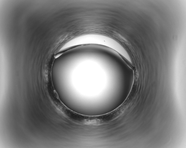 X0000084550452200703161649