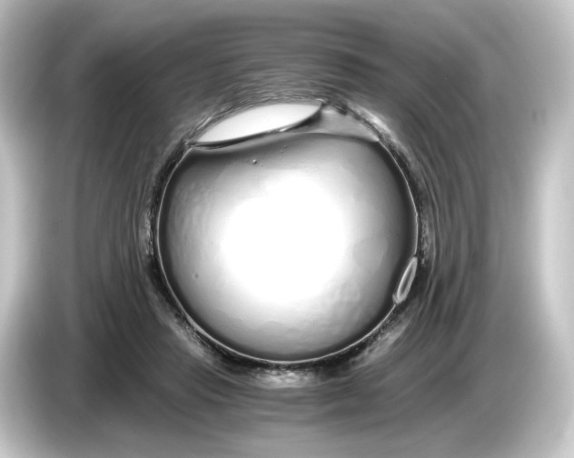 X0000084550453200703161649