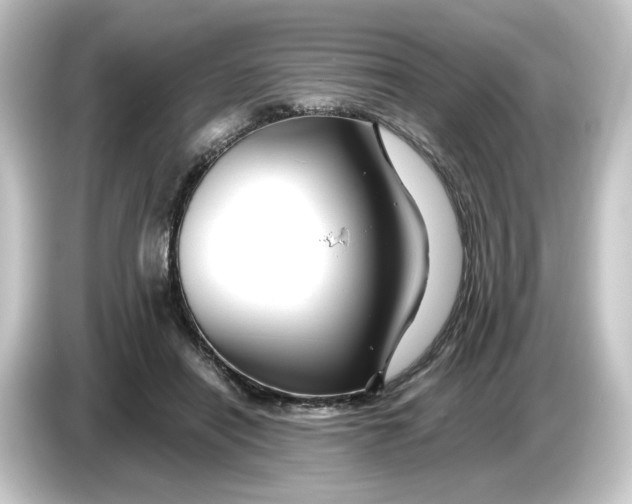 X0000084550454200703161649