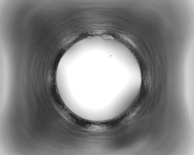 X0000084550455200703161649