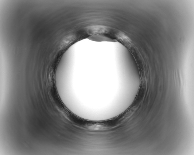 X0000084550460200703161649