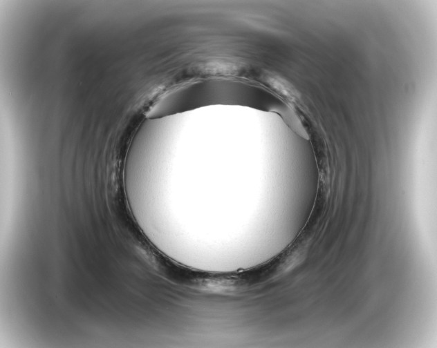 X0000084550462200703161649