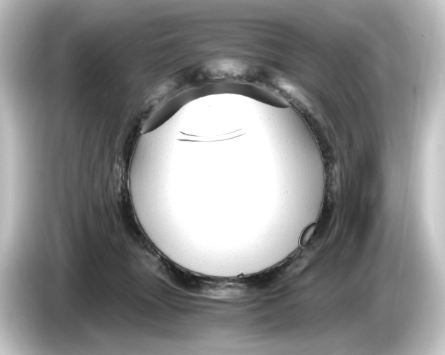 X0000084550463200703161649