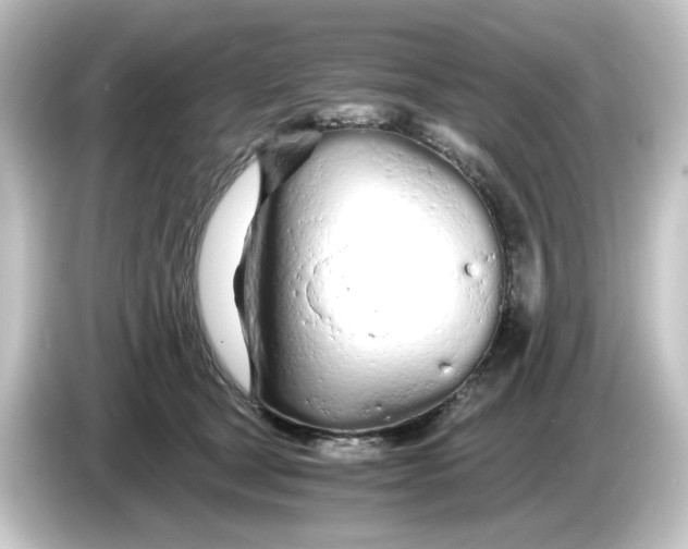 X0000084550465200703161649