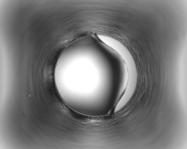 X0000084550466200703161649