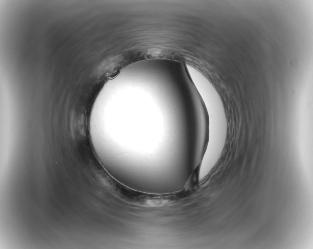 X0000084550470200703161649