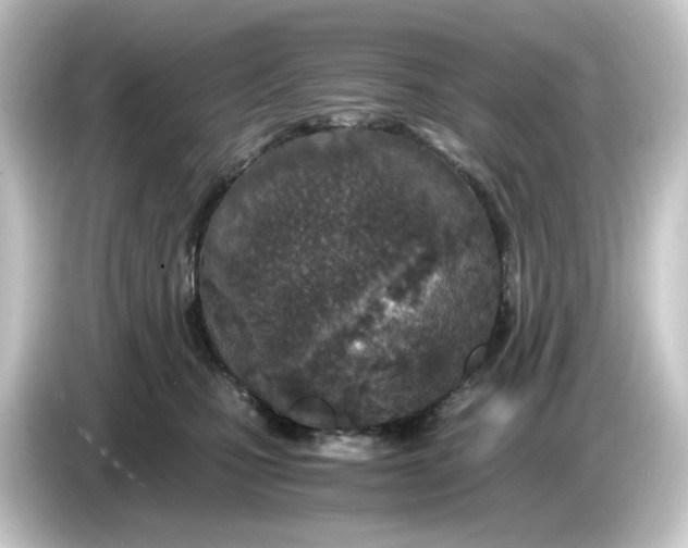 X0000084550471200703161649