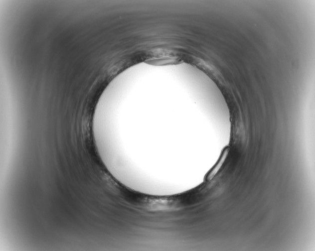 X0000084550473200703161650