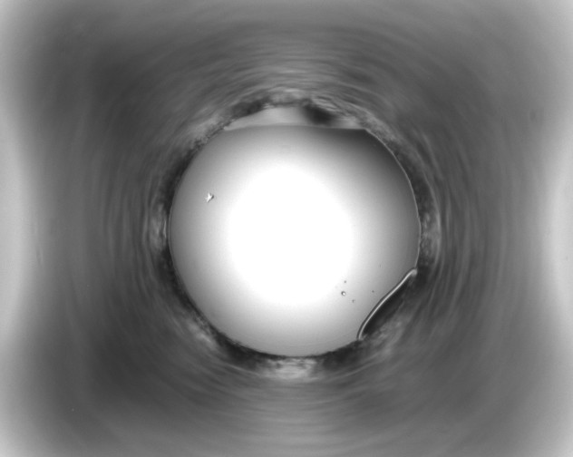 X0000084550474200703161650