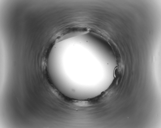 X0000084550476200703161650