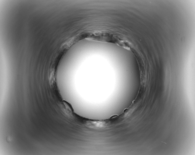 X0000084550478200703161650