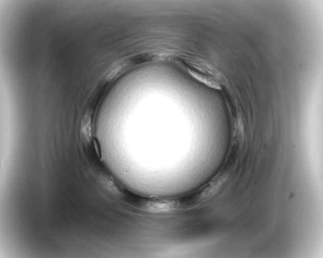 X0000084550479200703161650