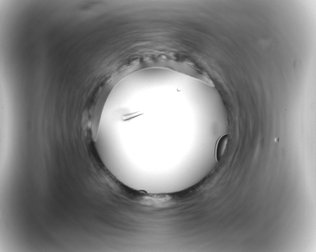 X0000084550480200703161650