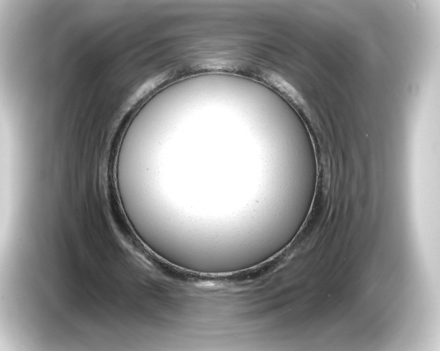 X0000084550482200703161649