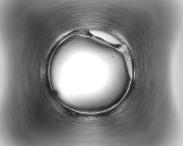 X0000084550483200703161649