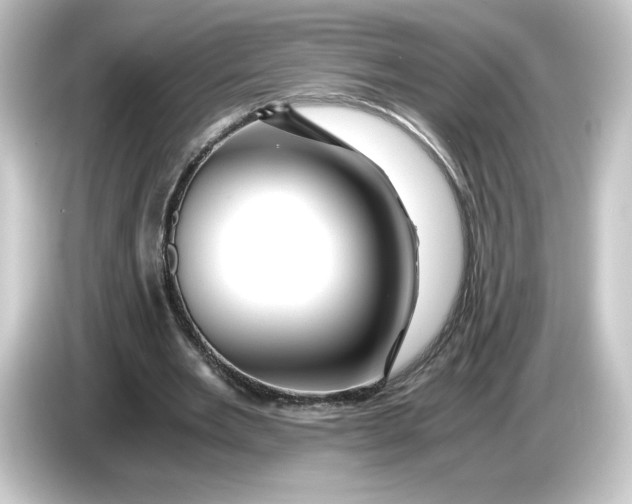 X0000084550485200703161649