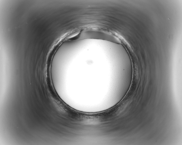 X0000084550486200703161649