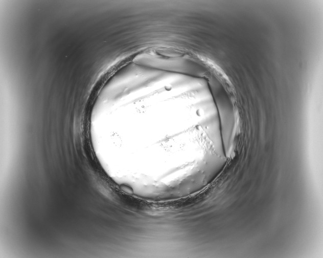 X0000084550487200703161649