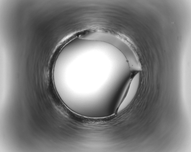 X0000084550488200703161649