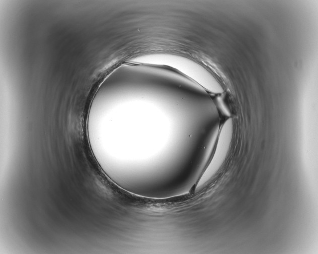 X0000084550489200703161649