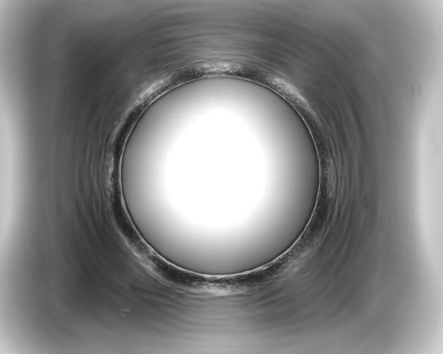 X0000084550490200703161649