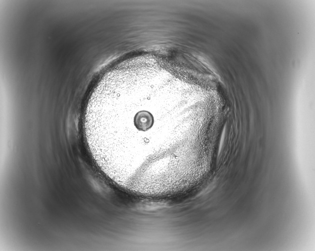 X0000084550491200703161649