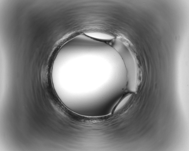 X0000084550492200703161649