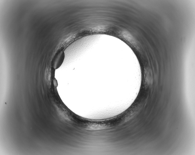 X0000084550494200703161649