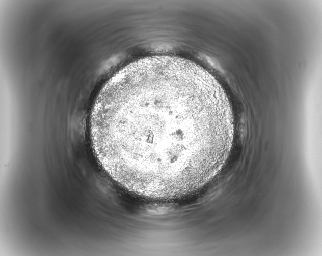 X0000084550495200703161649