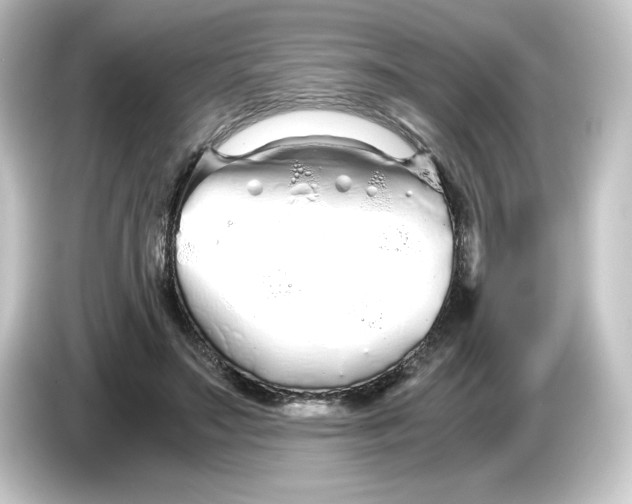 X0000084550499200703161649