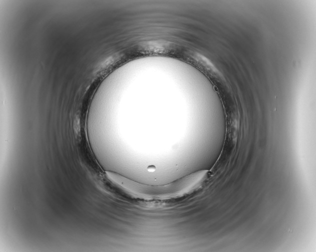 X0000084550500200703161649