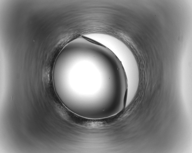 X0000084550501200703161649