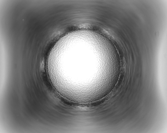 X0000084550502200703161649