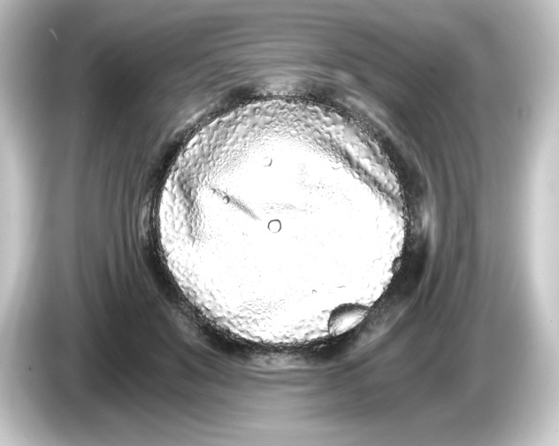 X0000084550503200703161649