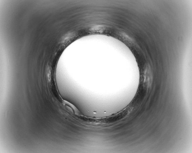 X0000084550504200703161649