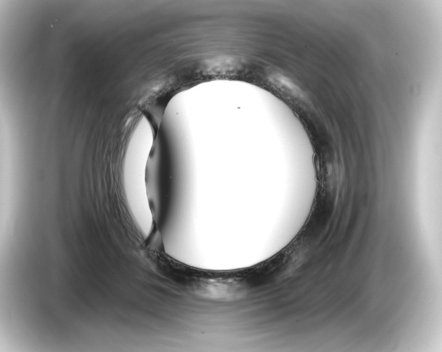 X0000084550508200703161649