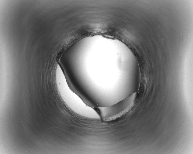 X0000084550512200703161649