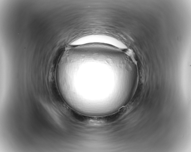 X0000084550515200703161649