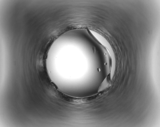 X0000084550516200703161649