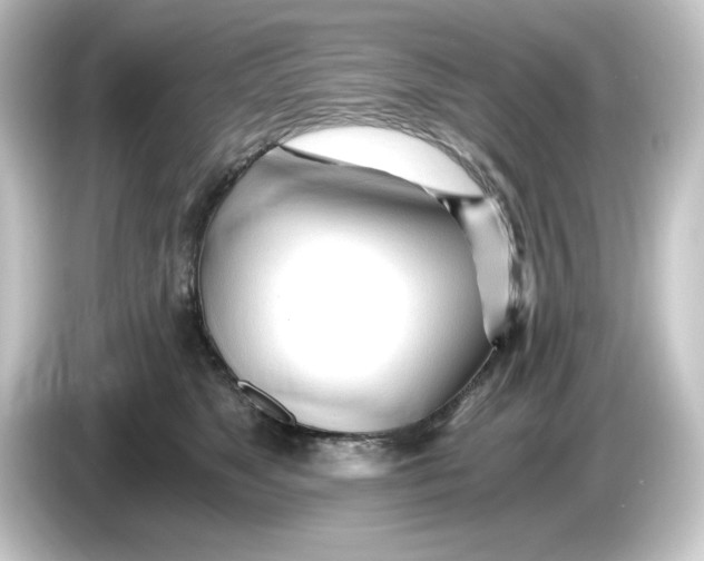 X0000084550517200703161649