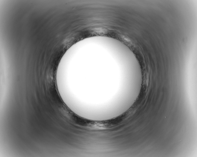 X0000084550518200703161649