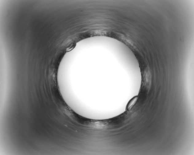 X0000084550522200703161649