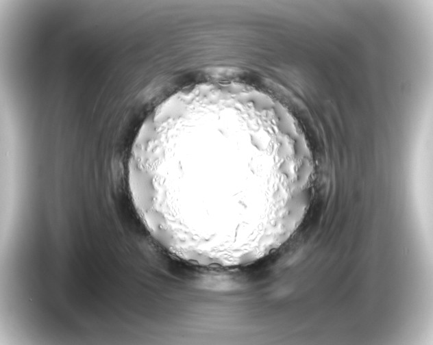 X0000084550523200703161649