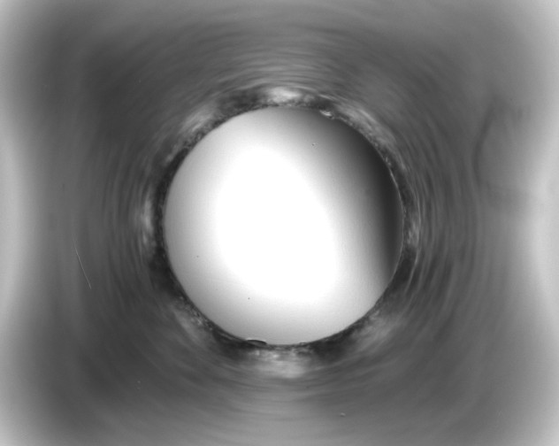 X0000084550524200703161649