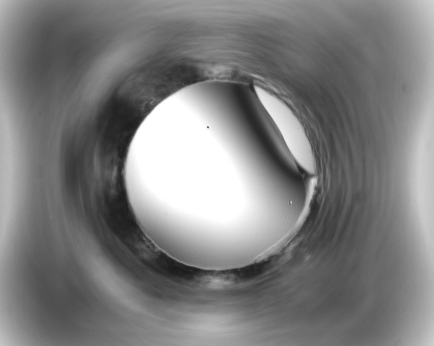 X0000084550525200703161649