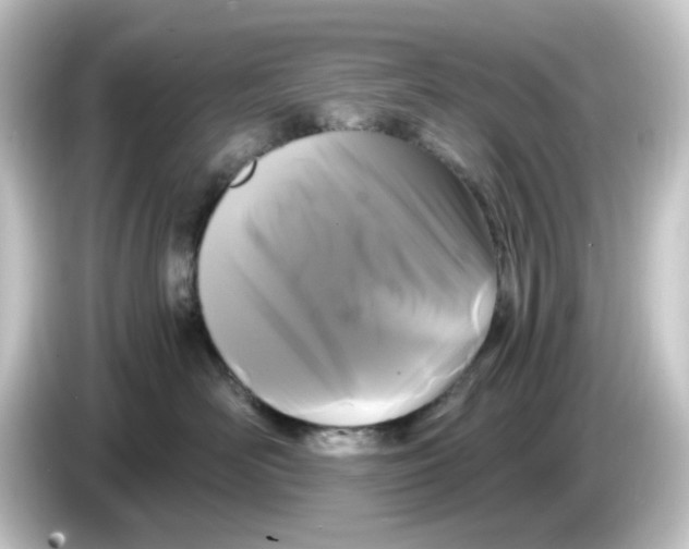 X0000084550526200703161649