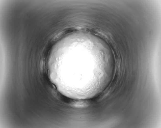 X0000084550527200703161649