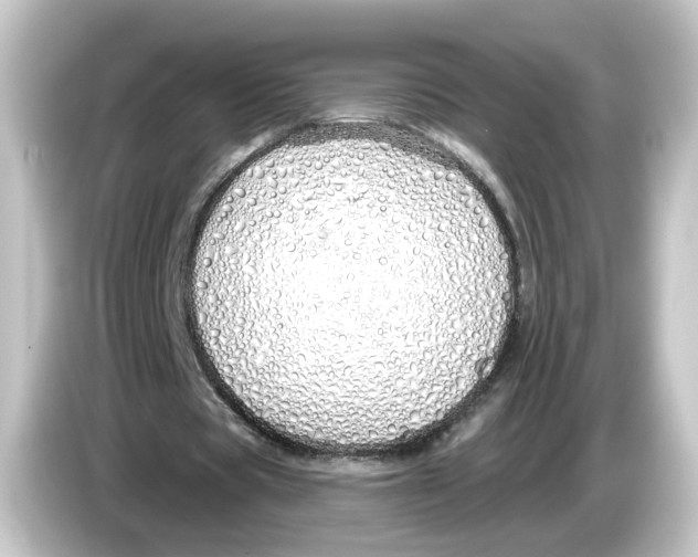 X0000084550529200703161648