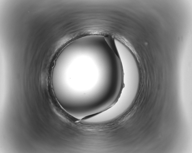 X0000084550530200703161648